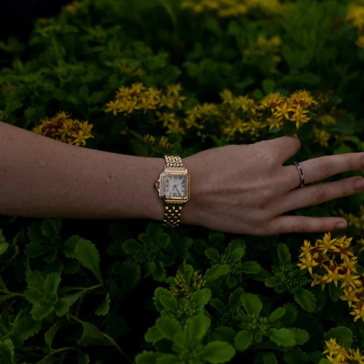 van Baerle® - Calista Glow