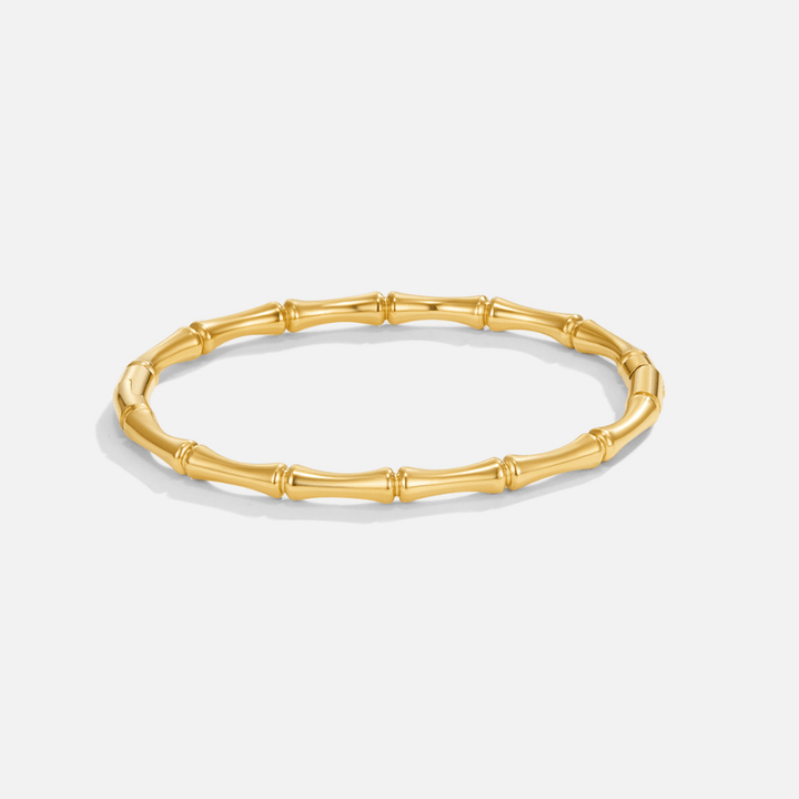 Radiant Ara Charm Bracelet