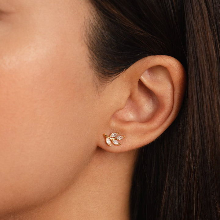 Leaf Shine: Radiant Glow for Your Greenery