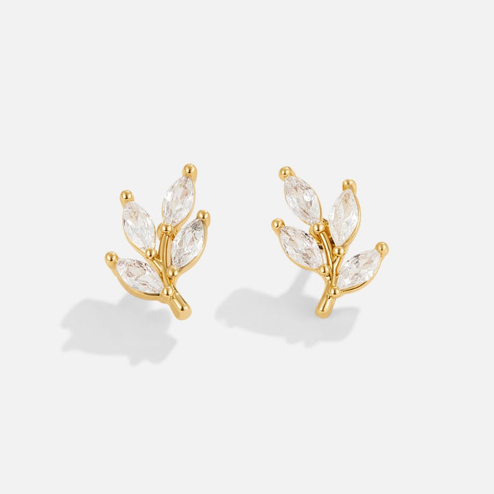 Leaf Shine: Radiant Glow for Your Greenery